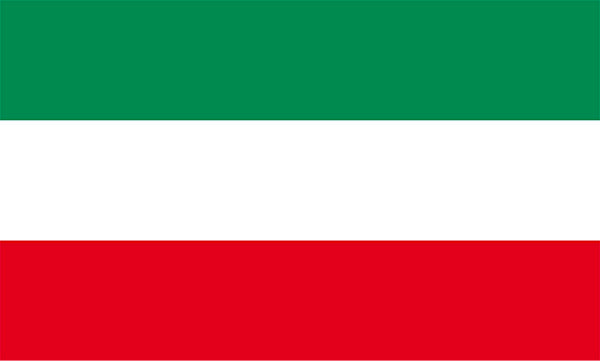 Hungary Flag Mini Car Flag