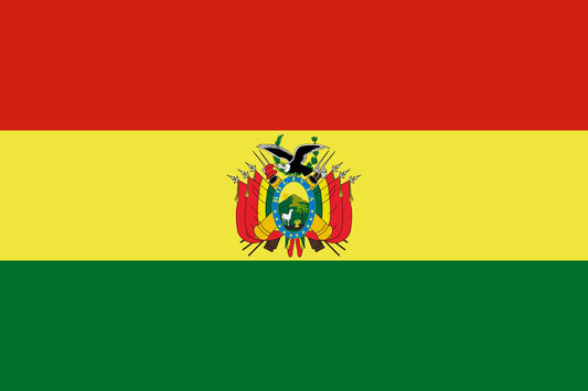 Bolivia  flag