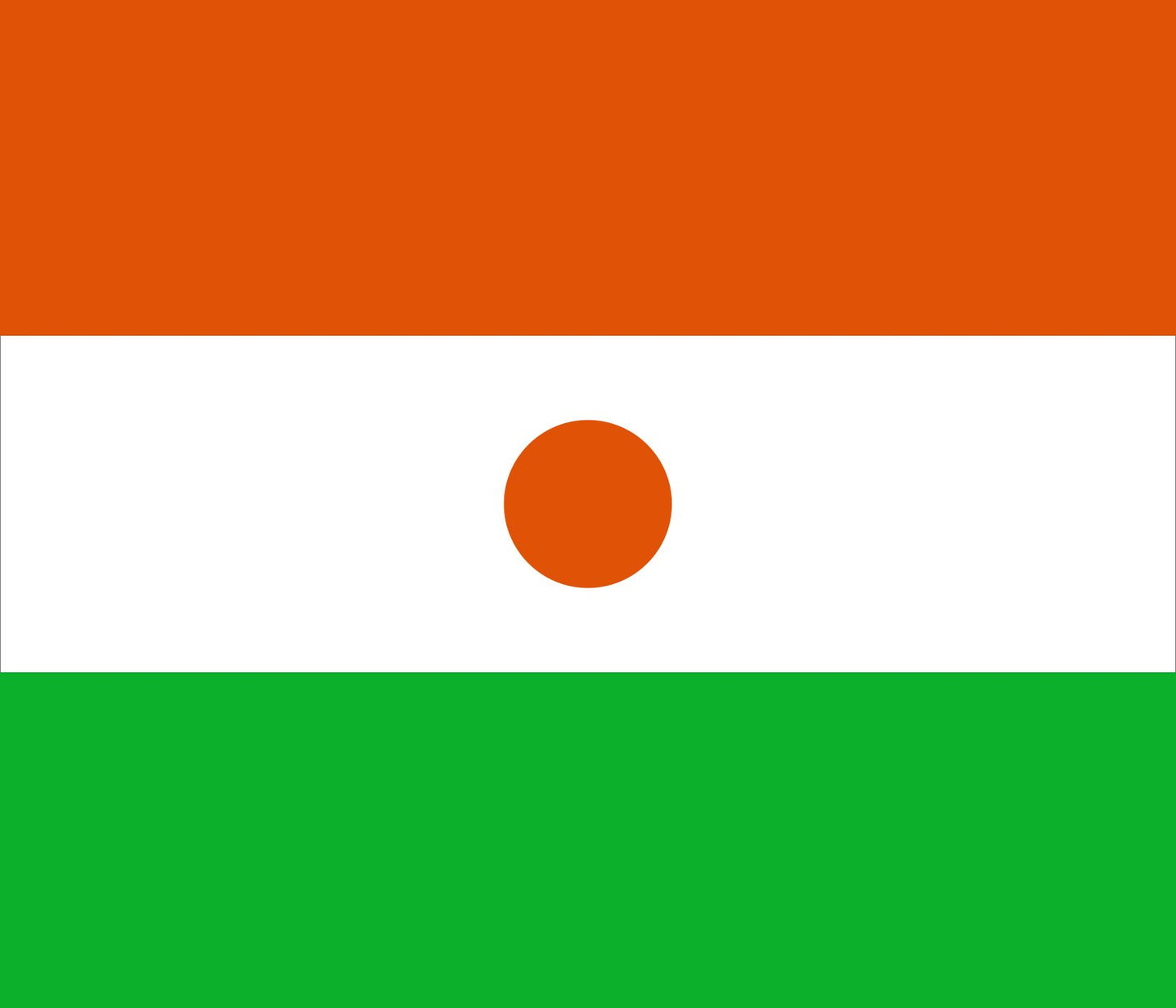 Niger flag