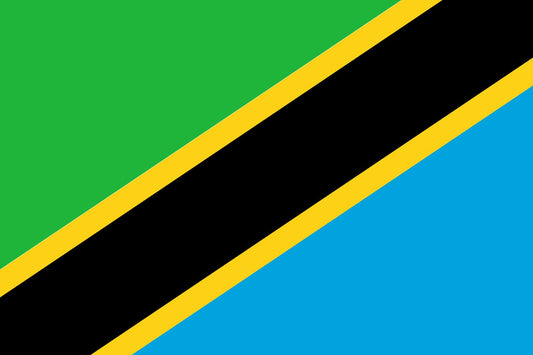 Tanzania  flag