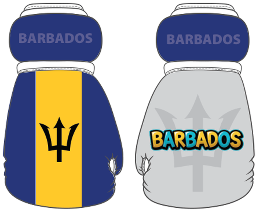 Barbados Mini Boxing Gloves
