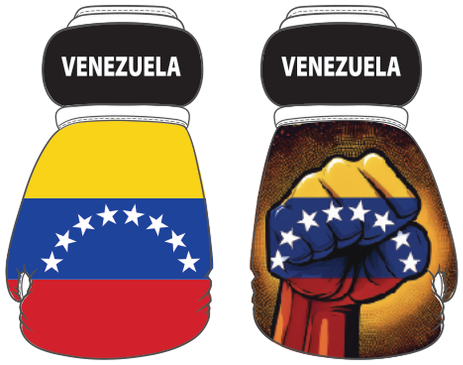 Venezuela Mini Boxing Gloves