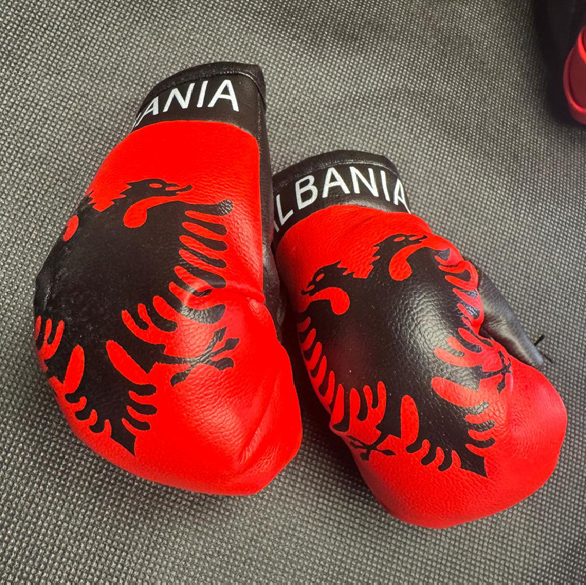 Albania Mini Boxing Gloves
