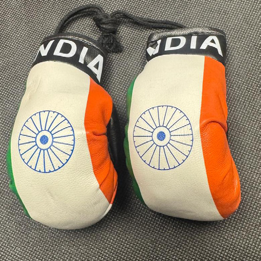 India Mini Boxing Gloves