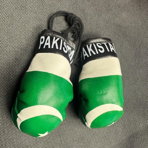 Pakistan Mini Boxing Gloves