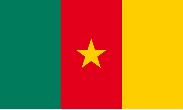 Cameroon YourFlag: Canada's Premium Flag Provider