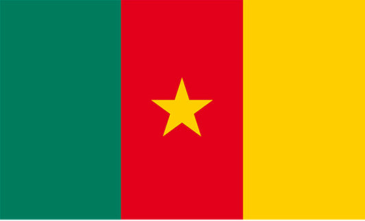 Cameroon YourFlag: Canada's Premium Flag Provider