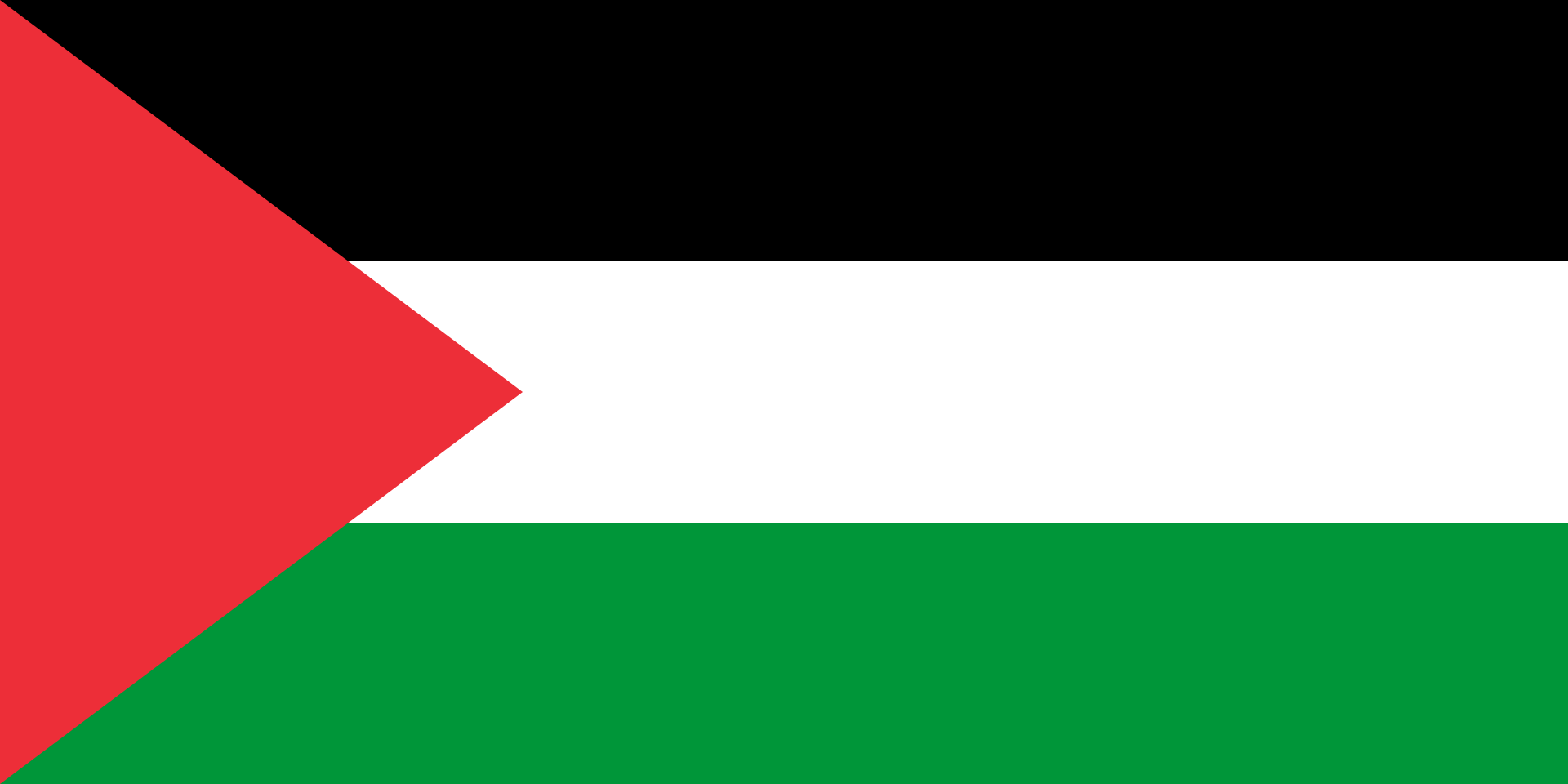 Palestine  flag
