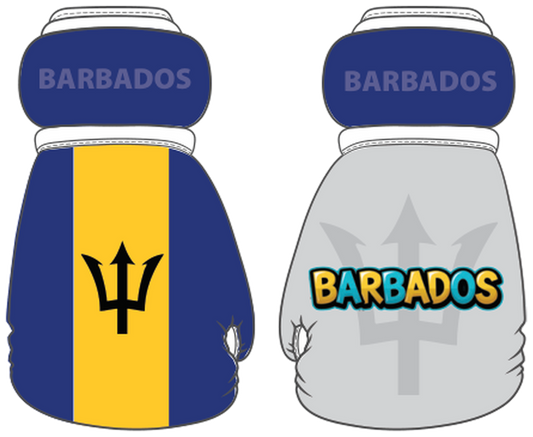 Barbados Mini Boxing Gloves