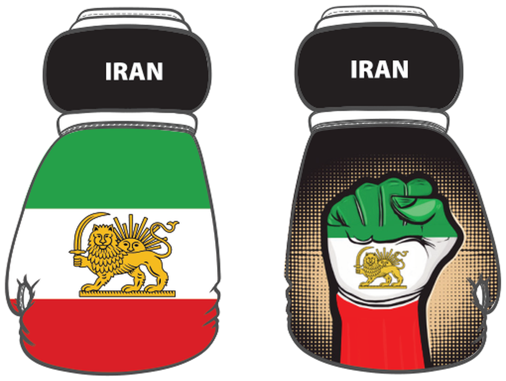 Iran Mini Boxing Gloves