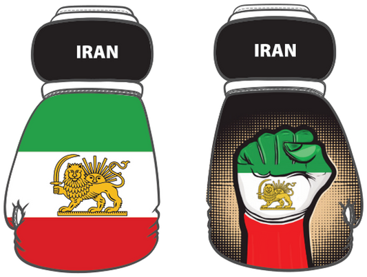 Iran Mini Boxing Gloves