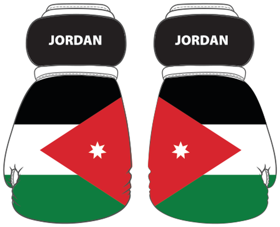 Jordan Mini Boxing Gloves