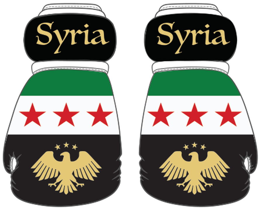 Syria Mini Boxing Gloves
