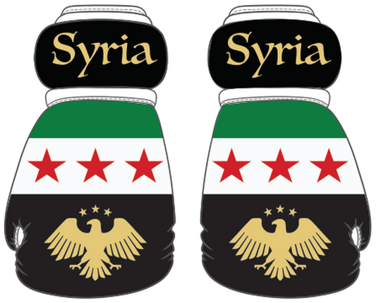 Syria Mini Boxing Gloves