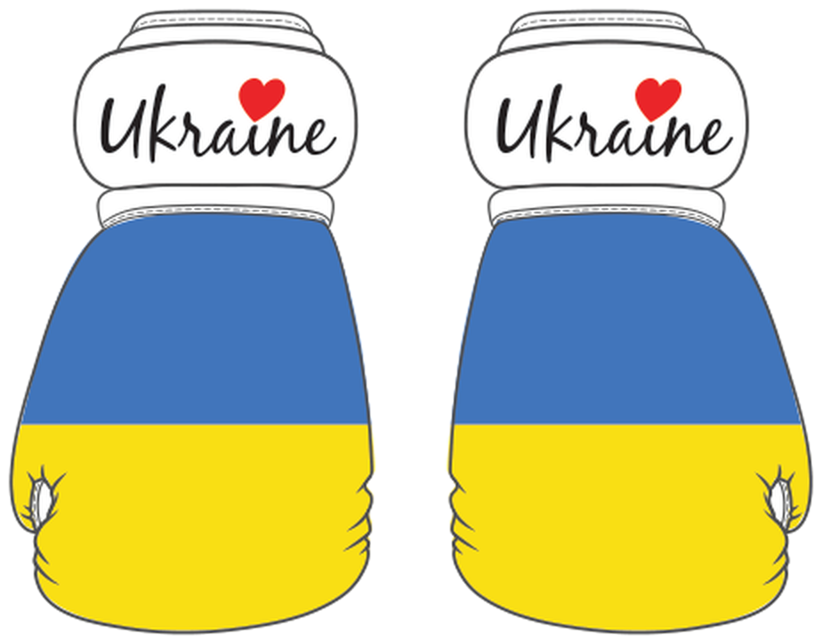 Ukraine Mini Boxing Gloves