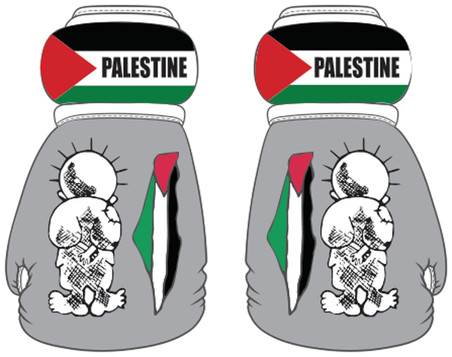 Palestine Mini Boxing Gloves