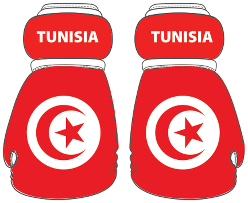 Tunisia Mini Boxing Gloves