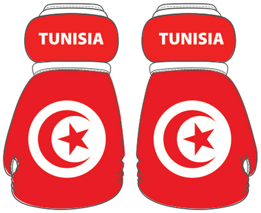 Tunisia Mini Boxing Gloves