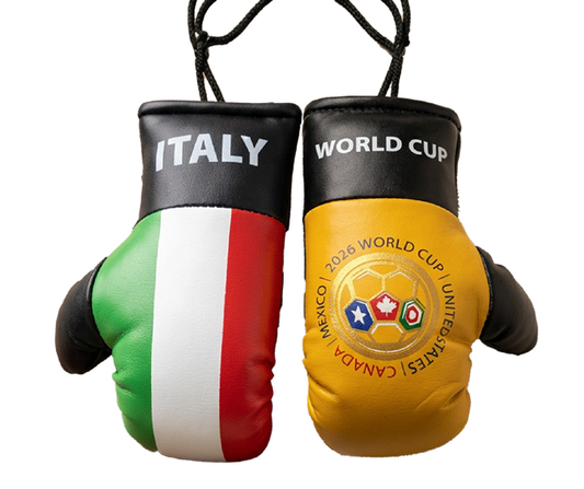 Italy WC Mini Boxing Gloves