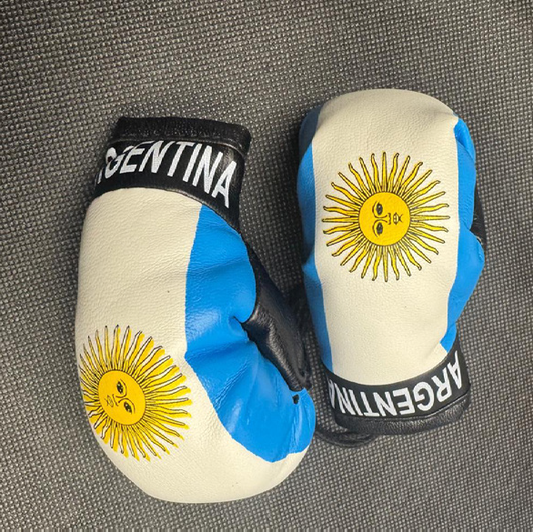 Argentina Mini Boxing Gloves