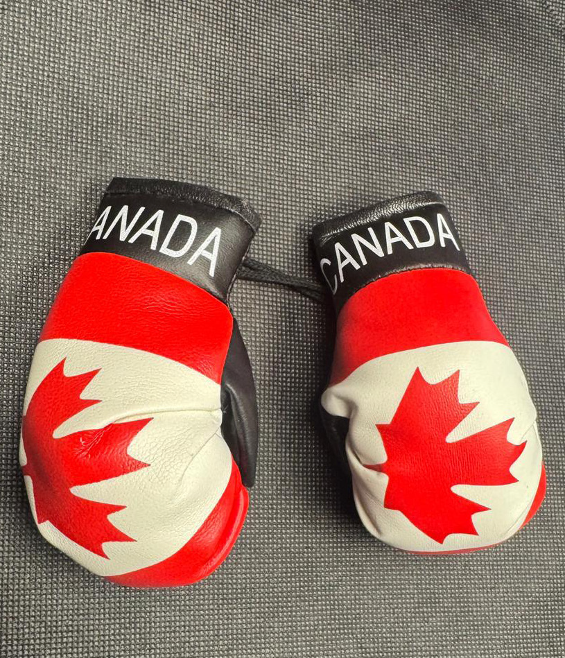 Canada Mini Boxing Gloves
