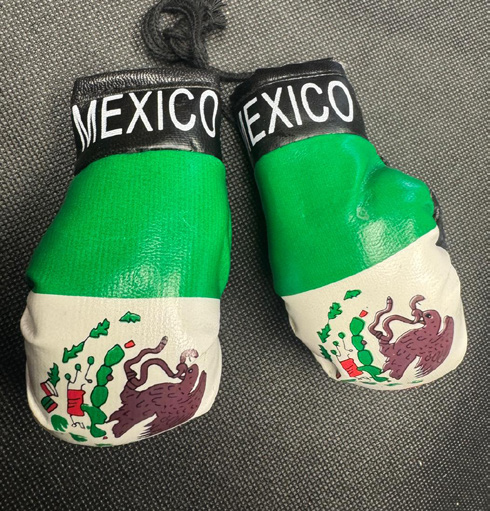 Mexico Mini Boxing Gloves