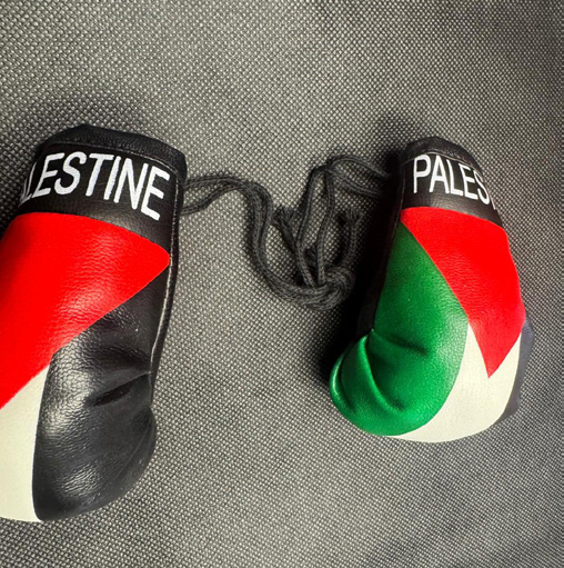 Palestine Mini Boxing Gloves