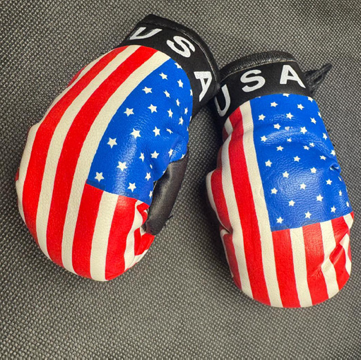 USA Mini Boxing Gloves